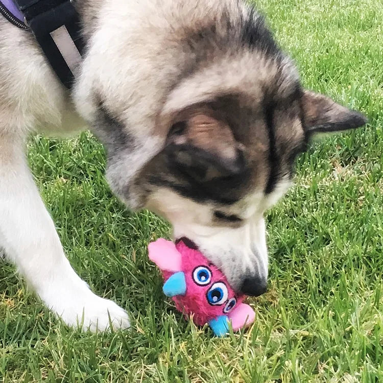 Squeaker Interactive Dog Toy Balls for Small Dogs Play Bite Resistant Chew Ball Toys for Large Dogs Puzzle Training Accessories