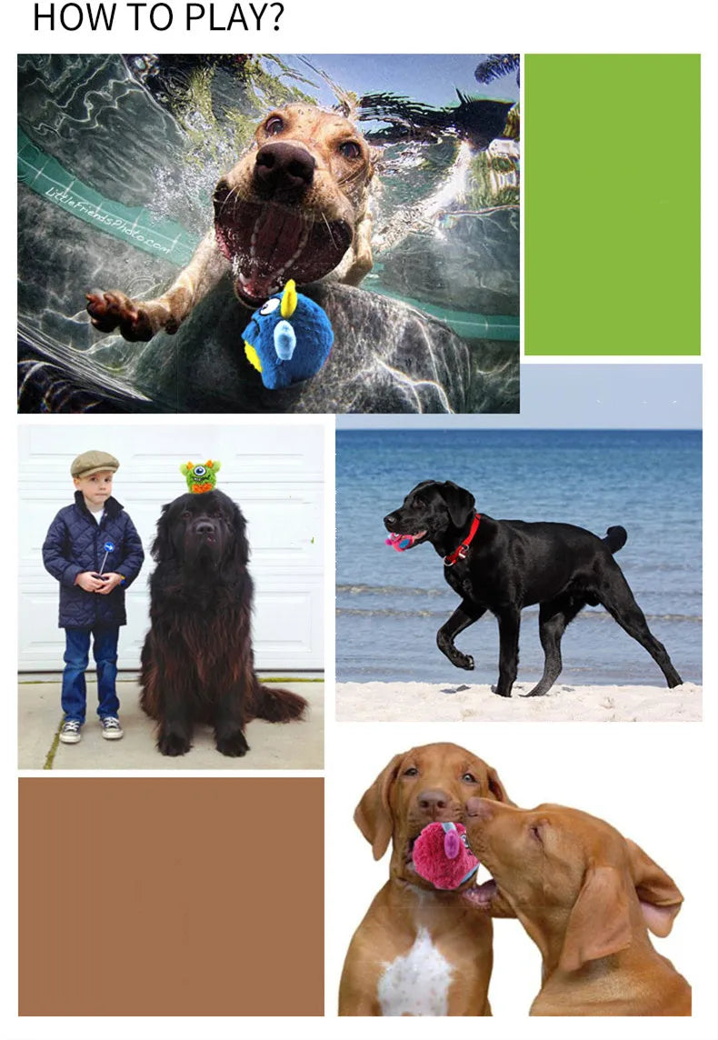 Squeaker Interactive Dog Toy Balls for Small Dogs Play Bite Resistant Chew Ball Toys for Large Dogs Puzzle Training Accessories