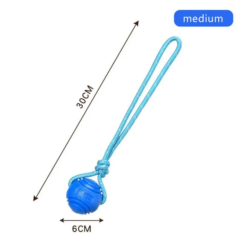 Dog Ball Toy