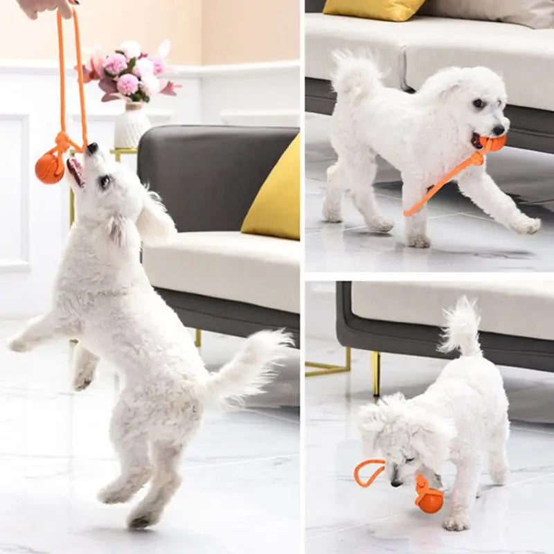 Dog Ball Toy