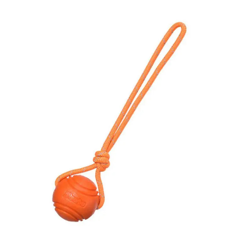 Dog Ball Toy
