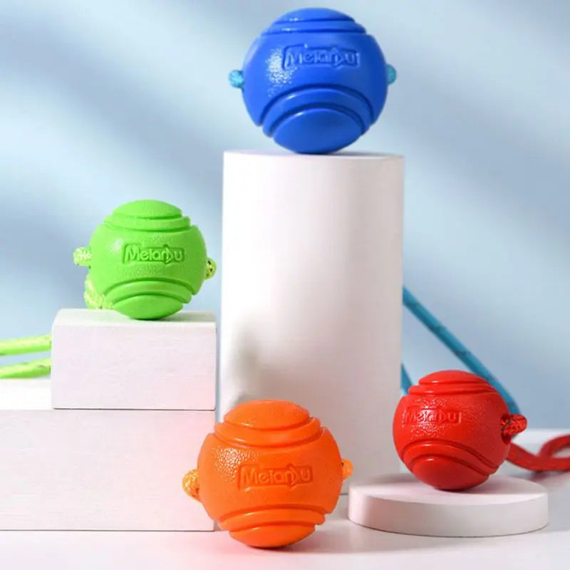 Dog Ball Toy