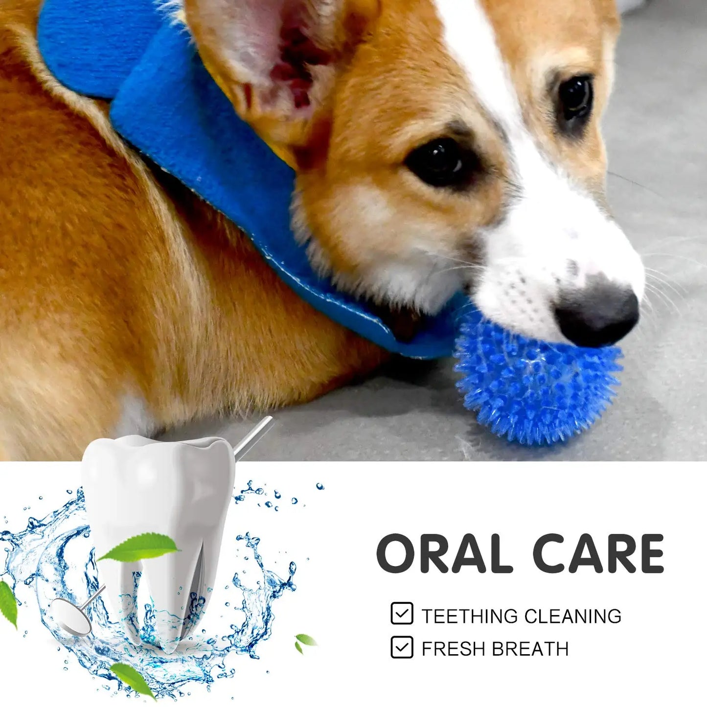 Squeaker Interactive Dog Toy Balls for Small Dogs Play Bite Resistant Chew Ball Toys for Large Dogs Puzzle Training Accessories