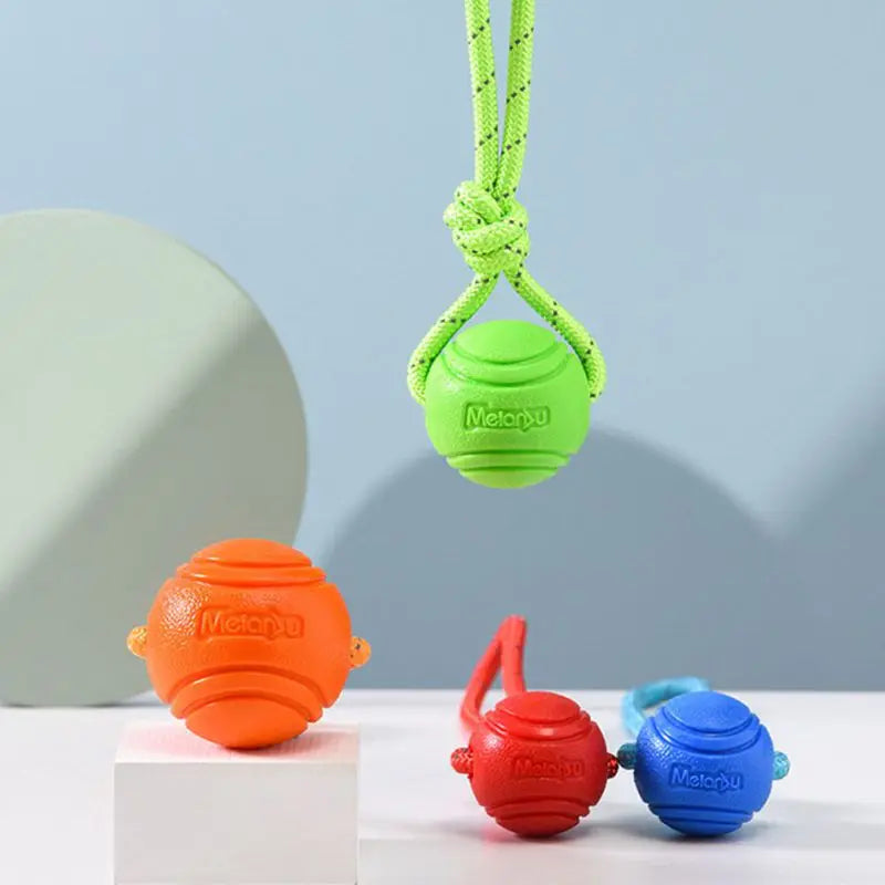 Dog Ball Toy
