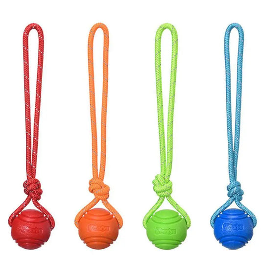 Dog Ball Toy