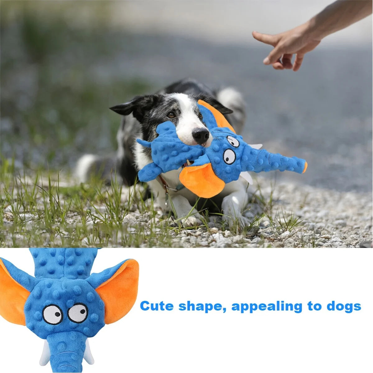 Plush Squeak Elephant Shell Dog Toy Durable Interactive Chew Toy for Small to Large Dogs Indestructible Fleece Material
