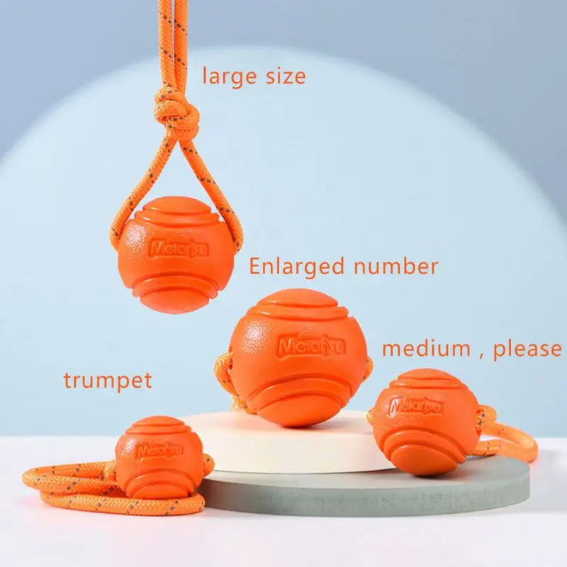 Dog Ball Toy