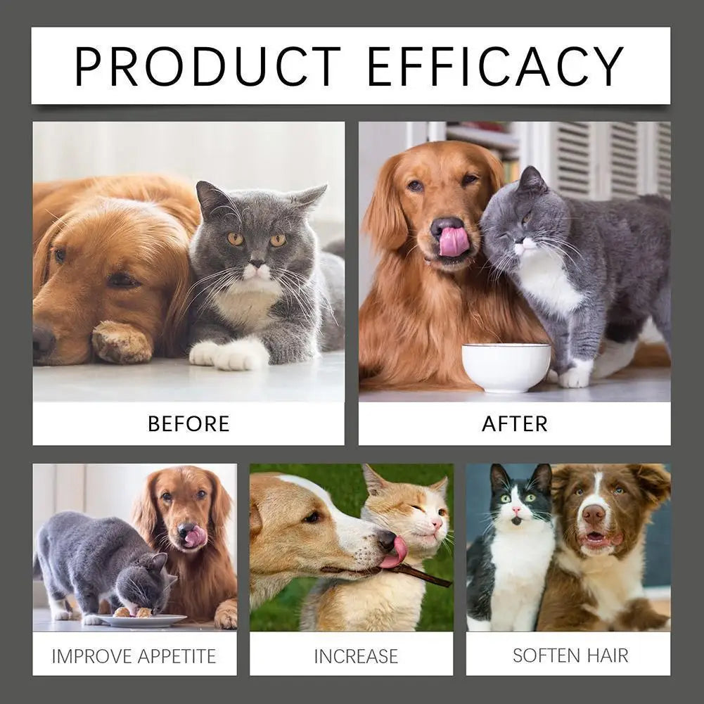 Dog Probiotic Supplement Pet Food Additive Dog Cat Oral Diarrhea Pet Care Solution Accessories Cleanse Vomiting Y4D8