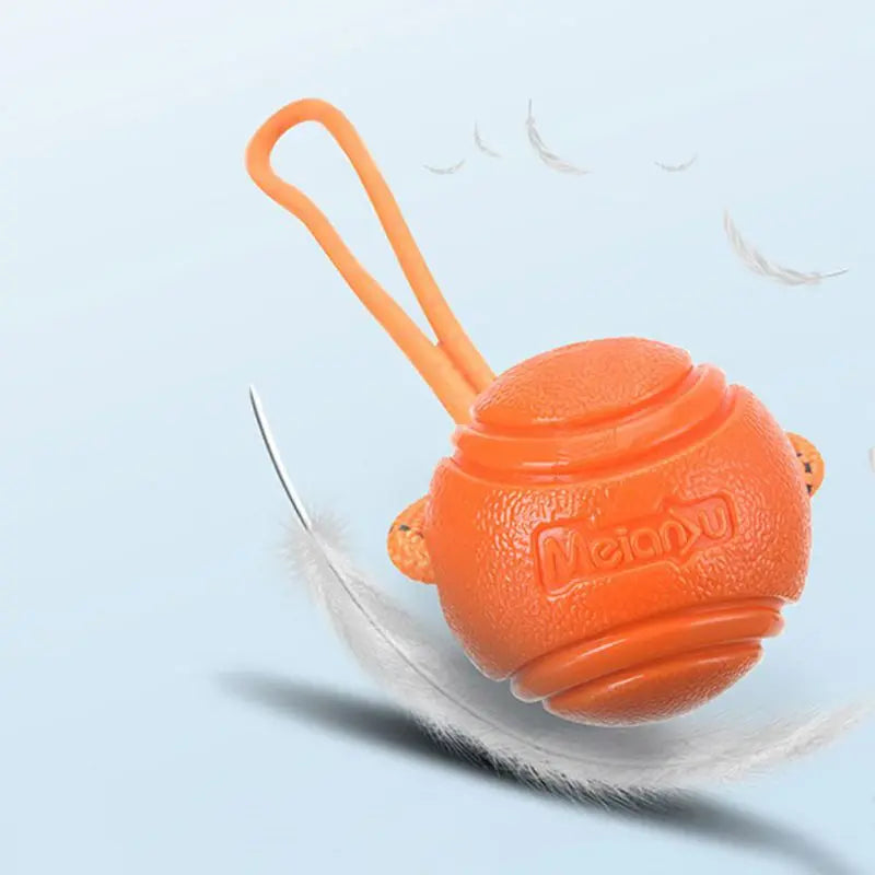Dog Ball Toy