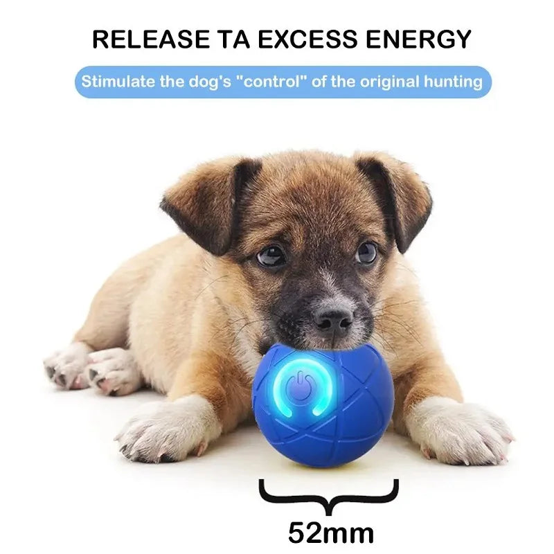 Interactive Rolling Ball dog toy. Auto Moving.