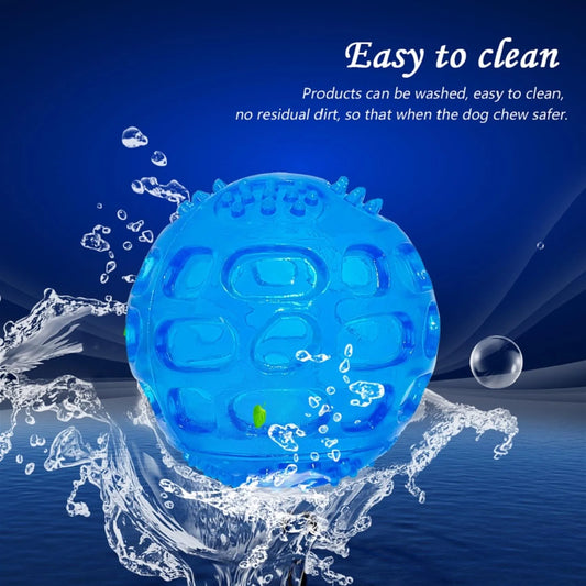 Pet Chew Toy Ball.