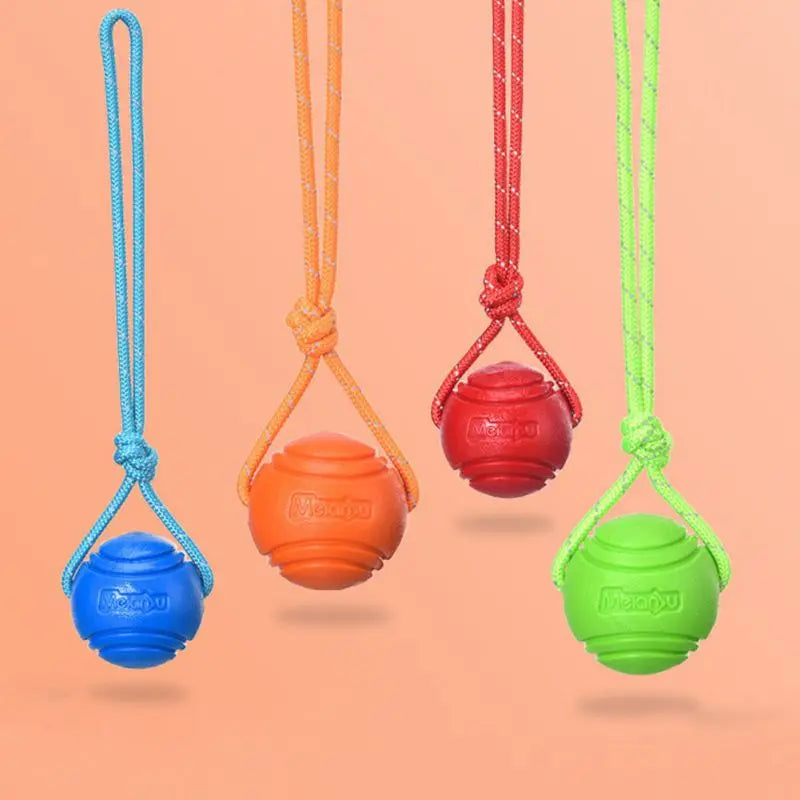 Dog Ball Toy