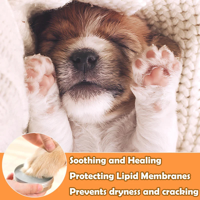 1/2/3pcs Pet Claw Balm Cat Dog Paw Protective Cream Pet Nose Protector Moisturizer for Cracked and Damaged Paws Pet Care Cream