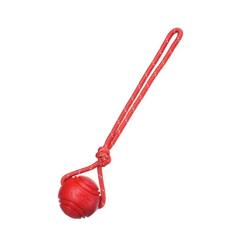Dog Ball Toy