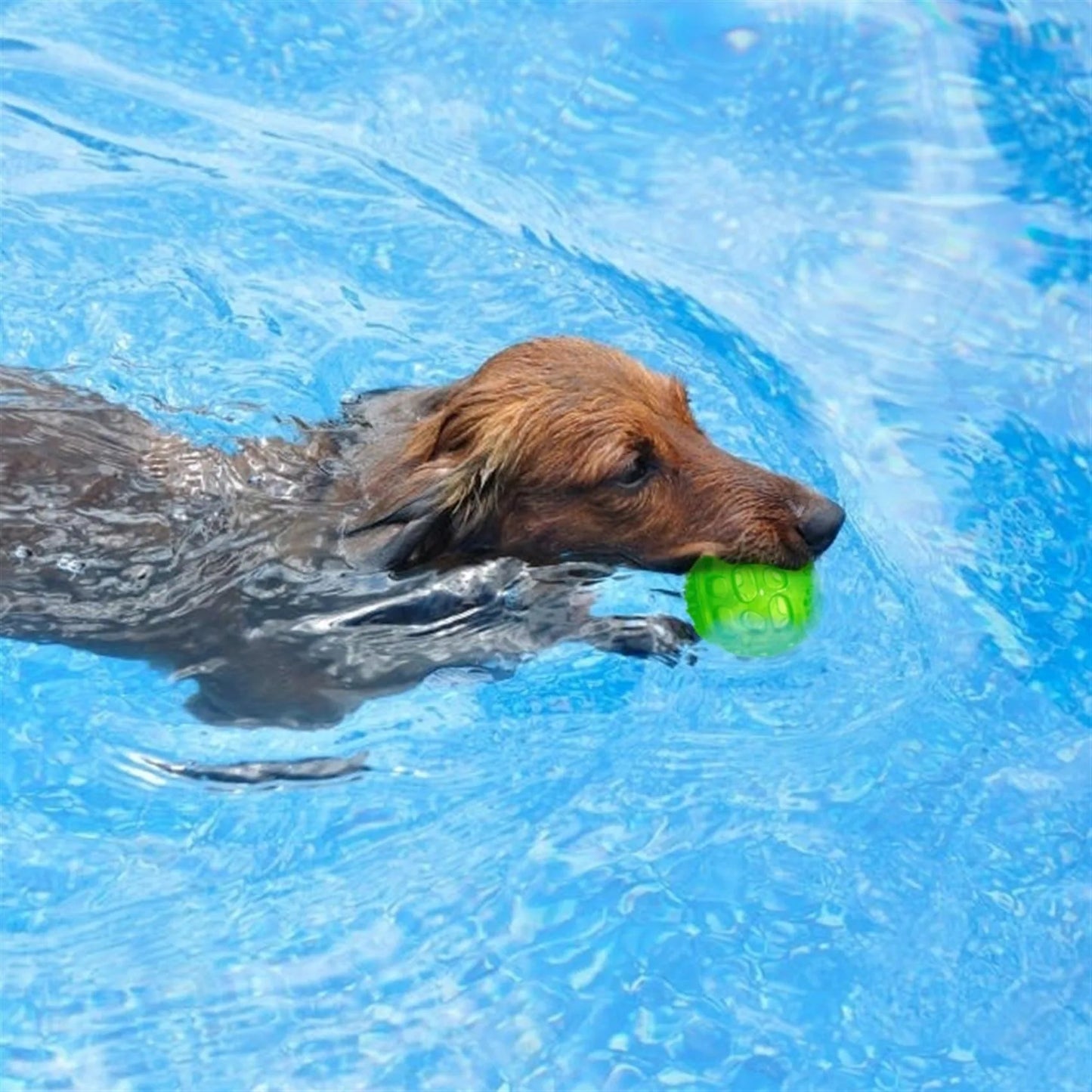 Pet Chew Toy Ball.