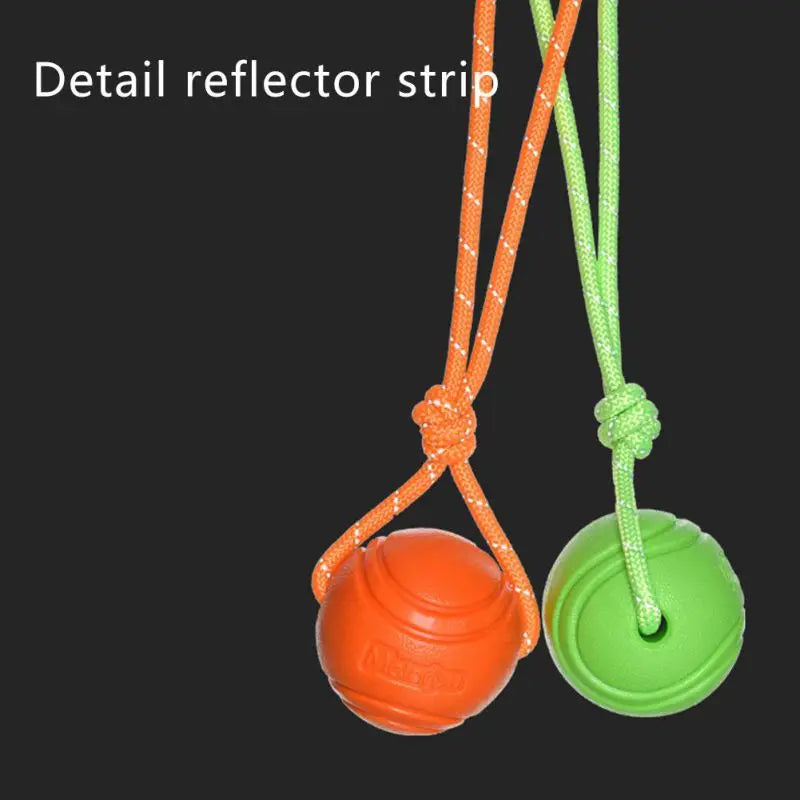 Dog Ball Toy