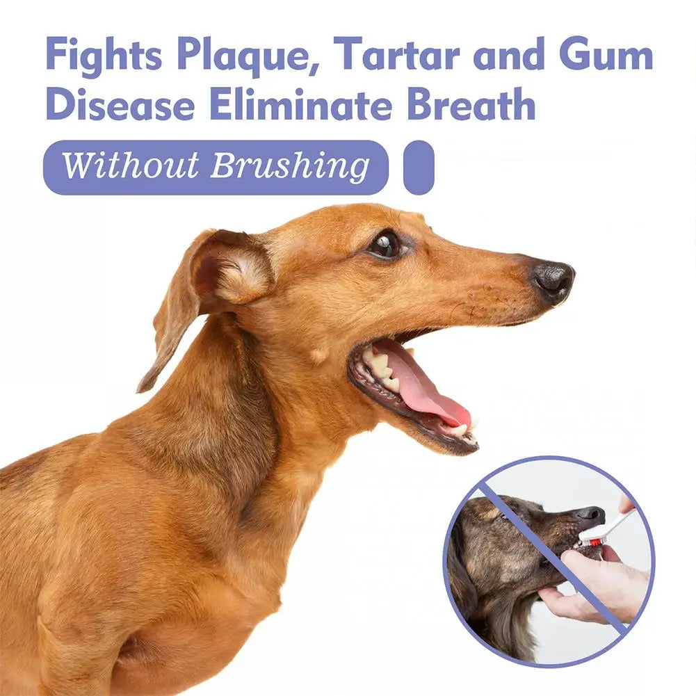 30ml Pet Oral Spray Dogs Teeth Cleaning Spray Dog Breath Remover Pet Supply Pet Care Plaque Deodorant Freshener Pet H5M7