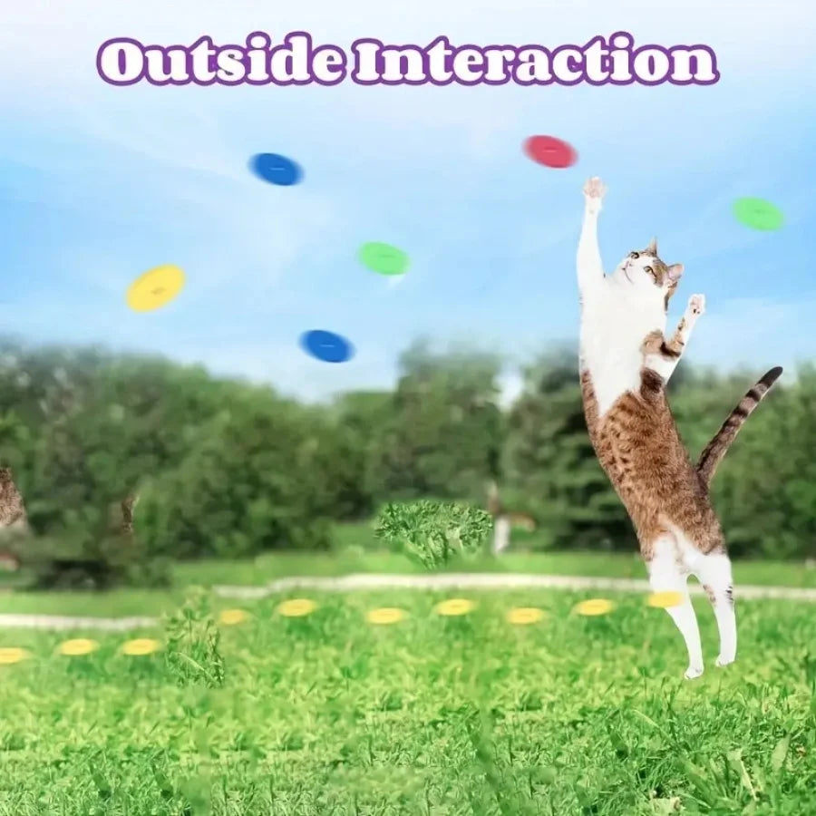 Set Of Interactive Cat Toy Launchers With Foam Discs - Manual Launchers for Pet Play and Exercise, Durable Plastic, No Batteries