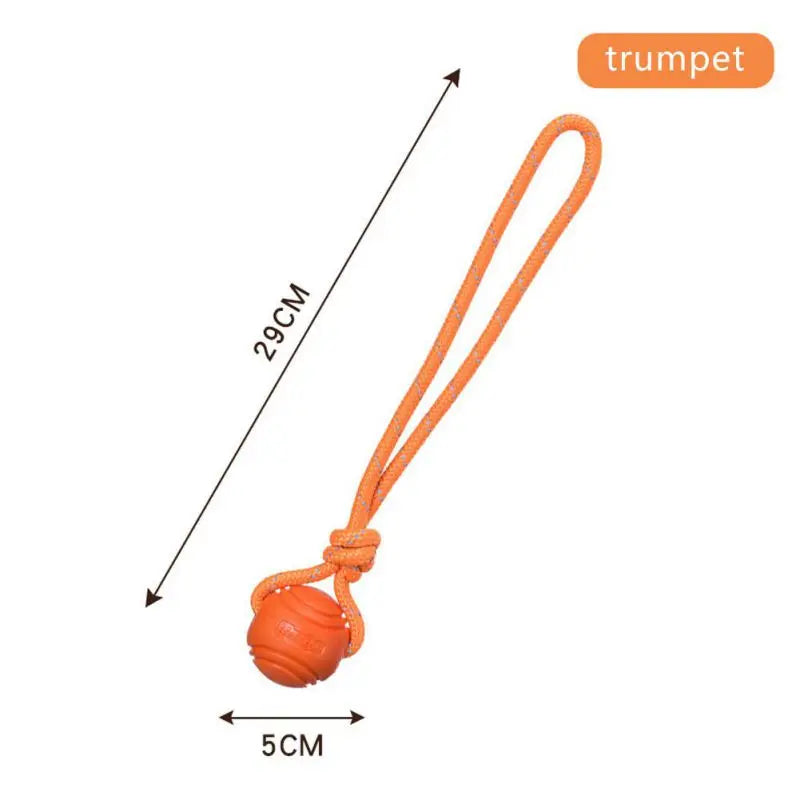 Dog Ball Toy