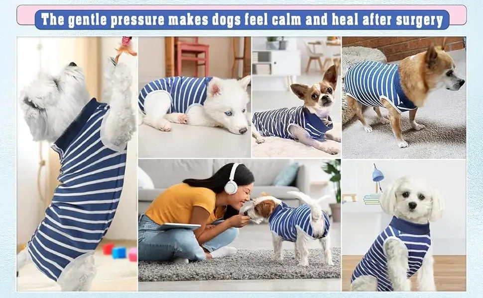 Surgery Recovery Suit Anti Licking Wounds Pet Care Clothes After Surgery Clothes Pet Supplies For Dog Pet Accessories WWO66